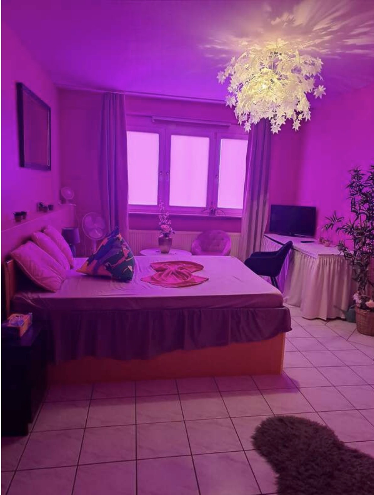 Luxus Zimmer